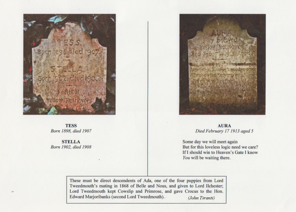 Ilchester Dog Graves